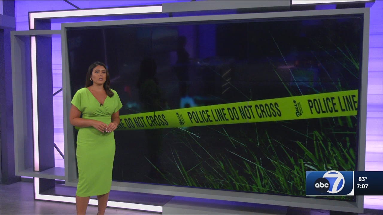 06.13 - 00.00.00 - ABC7 7O'Clock News  ᴺᵉʷ. No Description Info.ts_snapshot_09.07.235