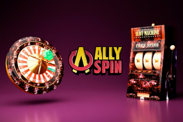 AllySpin im Test