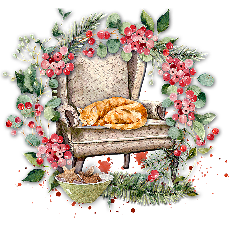рыжий кот