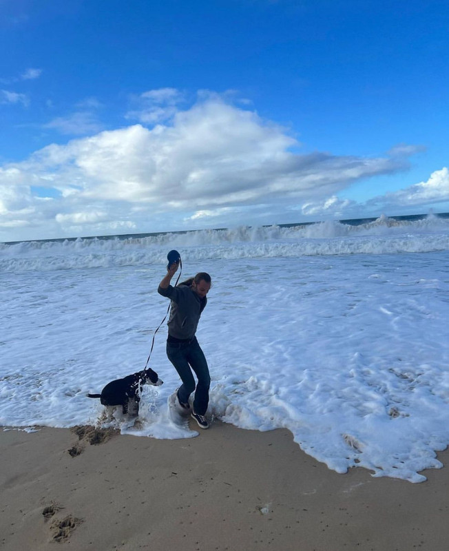 CD8C8C6B-D548-4A87-B18C-DFFF1073E8D8