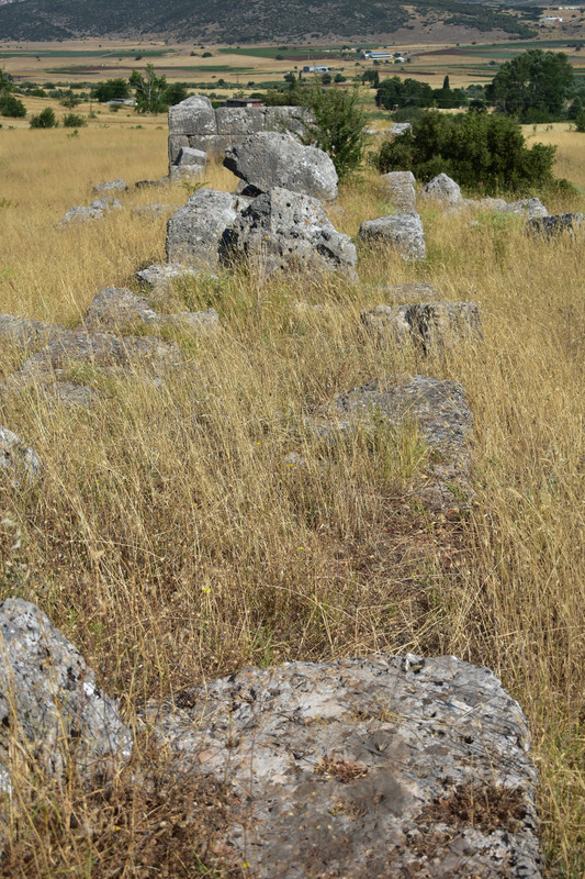 Αρχαίες Πλαταιές (5)