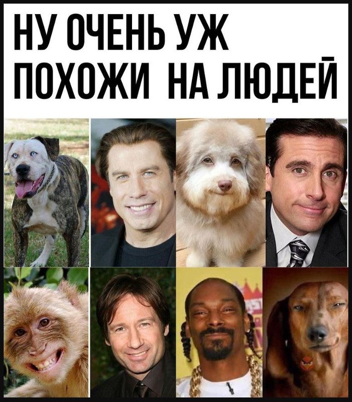 kartinki-s-prikolami-dlya-podnyatiya-nas