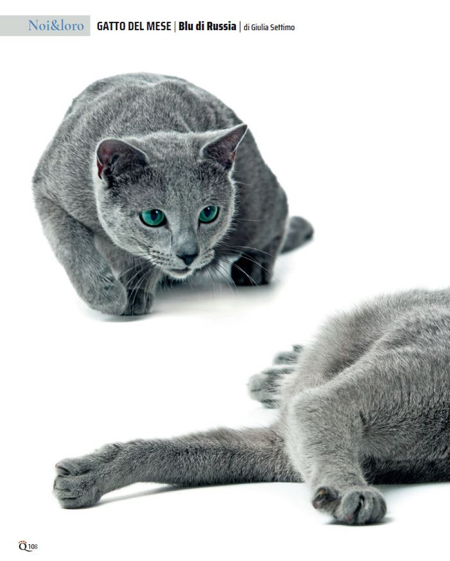 QuattroZampe Ott 2023 (7)