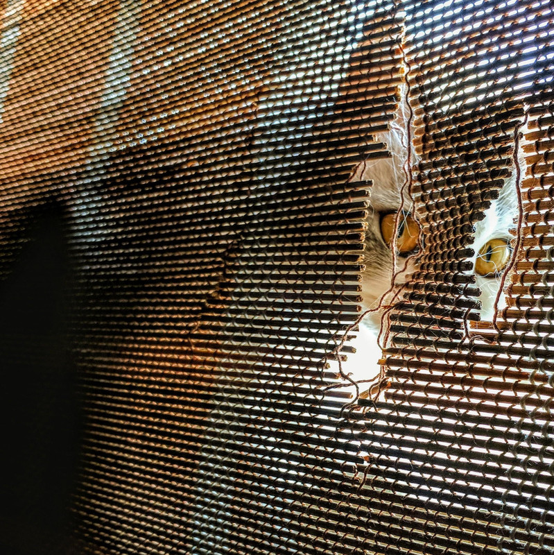 (JPEG Image, 2145?×?2148 pixels) - Scaled (36%)