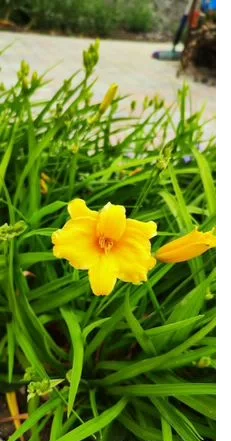 изображение_viber_2023-10-30_11-13-46-891