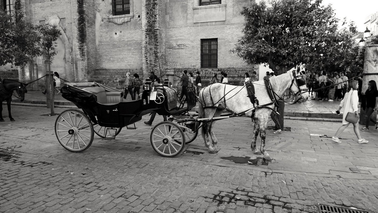 blacknwhite-seville.jpg