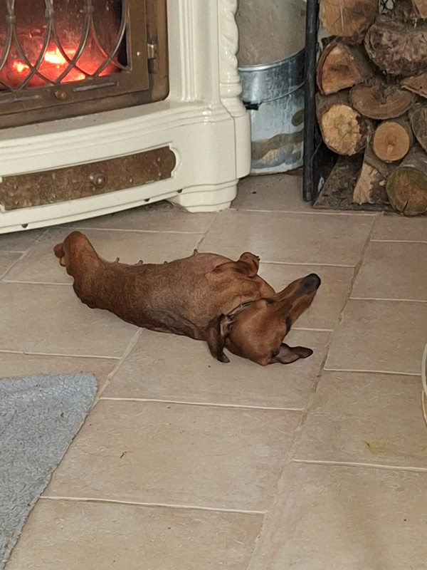 [Image: 20231207-135948.jpg]