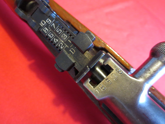 IMG-3683