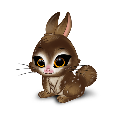 https://i.postimg.cc/P5xPmyQt/lapin-hiboux.png