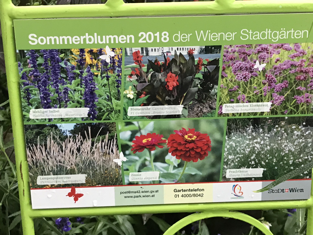 F5D015B4-AD19-4308-B412-6DBBAE907476