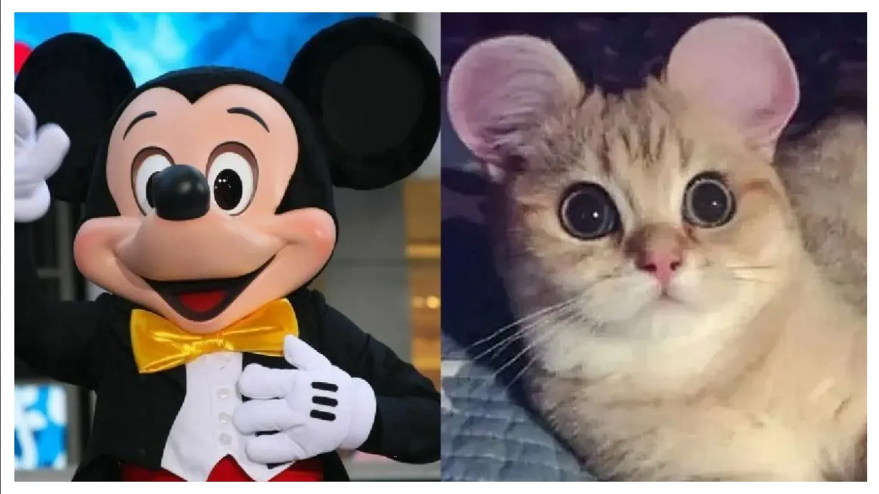 Indignación: Orejas de Mickey Mouse la controvertida moda para mascotas en China