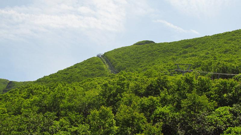 IMG-0944
