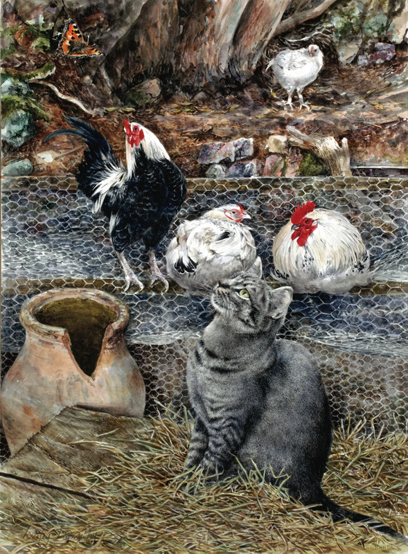1-SPECTATOR-CHICKENS-1-C27376-1