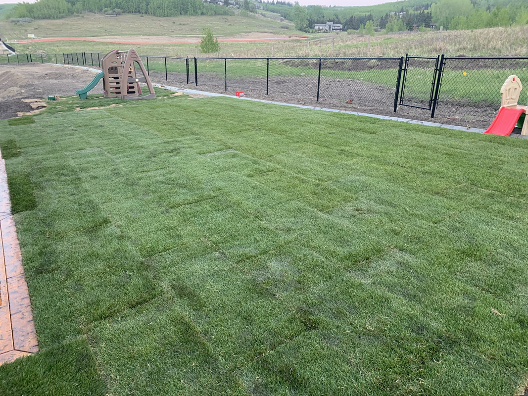 C1754AB6-EE3F-4608-8648-5B598E73C850