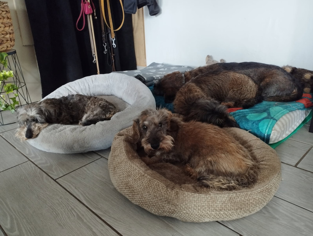 [Image: IMG-20250828-125114.jpg]