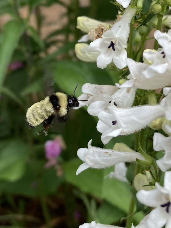 A1B41109-477C-4F66-A96B-474B608C7290