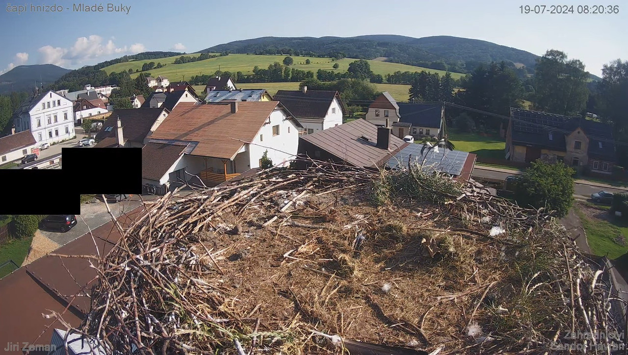 Tiešraides kamera — Mladé Buky — stārķa ligzda 9-40-42 screenshot