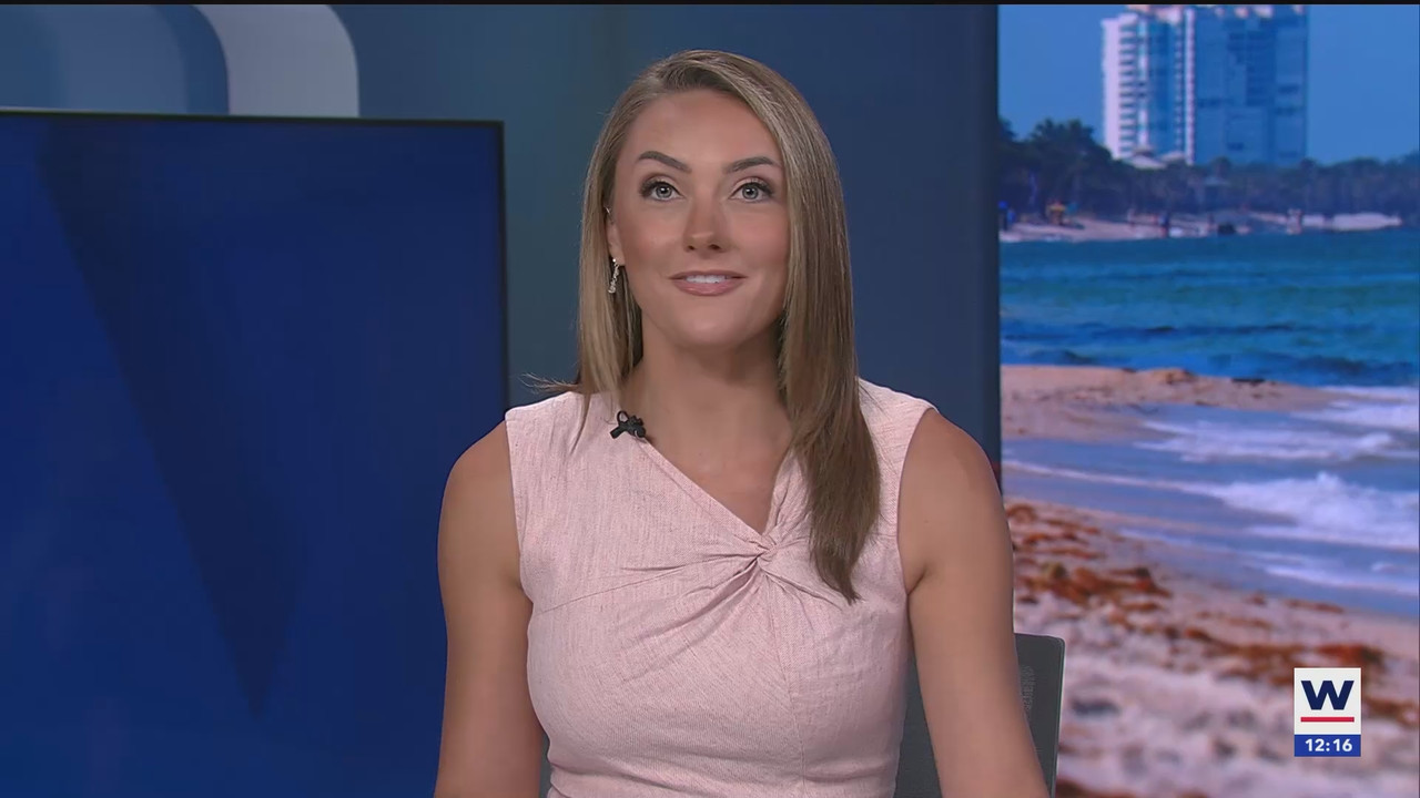08.13 - 17.00.00 - The WINK Noon News  ᴺᵉʷ. Midday news update..ts_snapshot_22.36.978