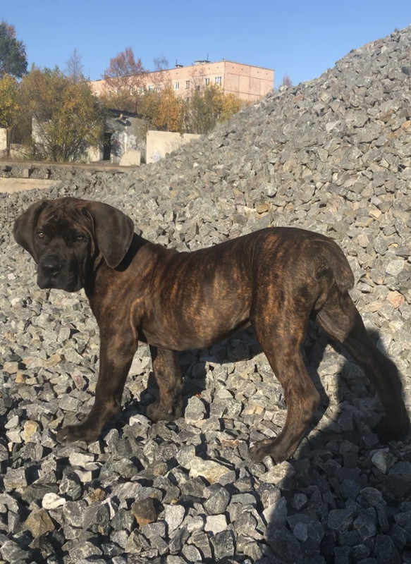 C2FB6489-A183-4DED-95B1-062A8169AC67