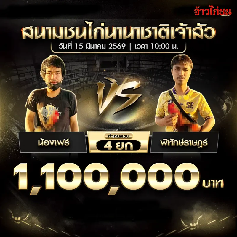 โปรแกรมไก่ชน คู่ น้องเฟร์ พบ พิทักษ์ราษฏร์ สนามชนไก่นานาชาติเจ้าสัว 15 มีนาคม 2569