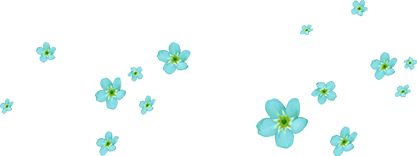 KBK_InTheSpring (48)