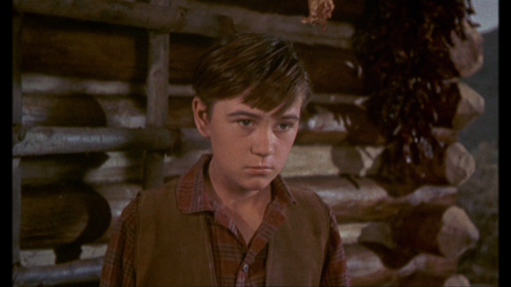 vlcsnap-2018-06-16-19h55m20s919