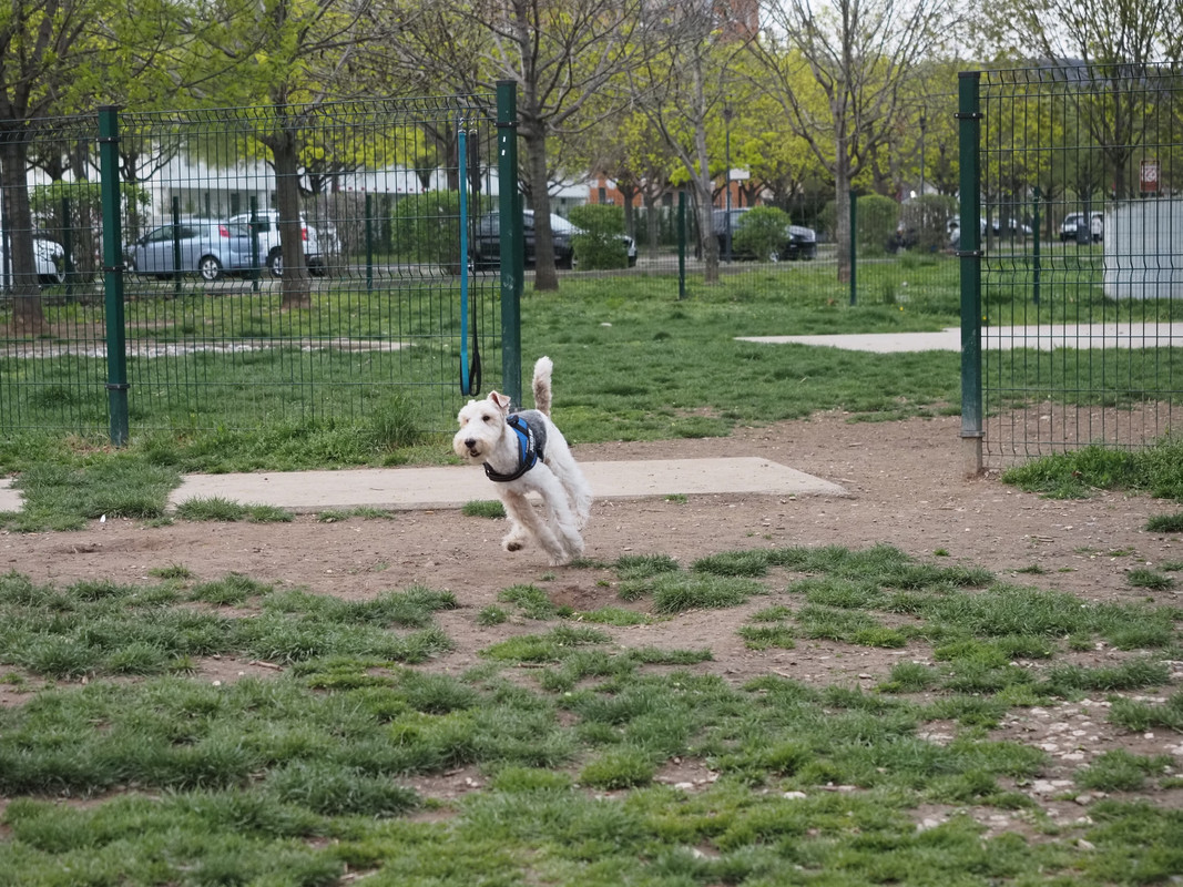 CF49D250-7BA3-4D90-A589-CA6FC33CF8B8