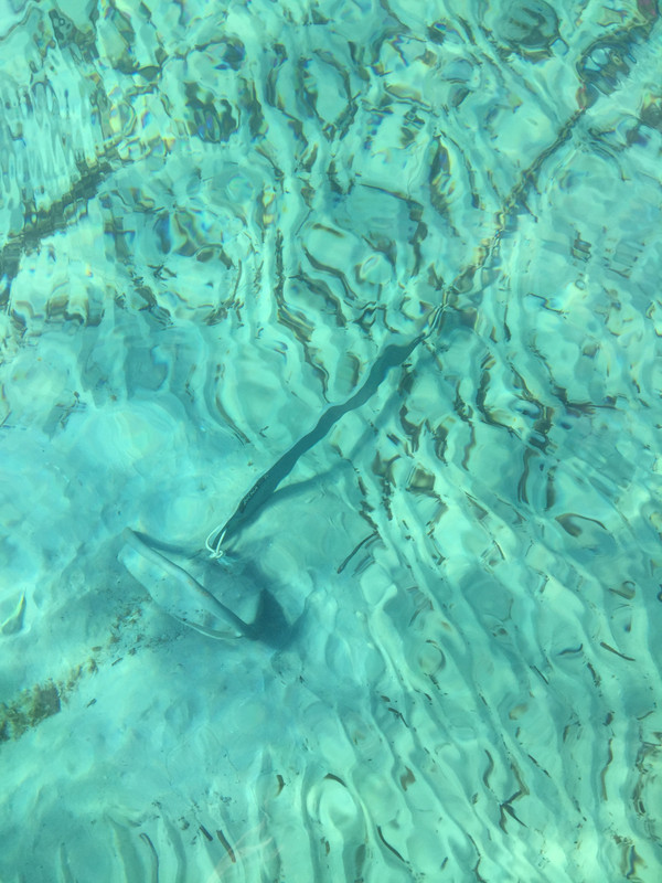 AF83B480-2E85-4D38-975E-A5C22CFE154B