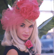 jayne-mansfield-h23