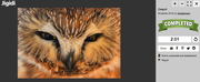 [Afbeelding: 54908863d46c31c1d56ff676b5b4223a.png]