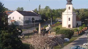 Kép