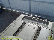 IMG-3541