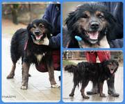 Be-Funky-collage-22.jpg&key=e05d409be4ff