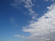 DSC01244