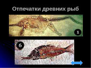 https://i.postimg.cc/PCM05YPq/img5.jpg