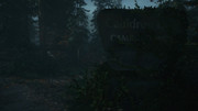 Alan-Wake2-2026-06-06-16-18-46-776