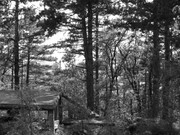 ADP System Pancharevo 2009 (28)