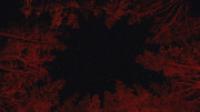 Alan-Wake2-2026-06-12-15-13-19-633
