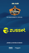 ZUSSET