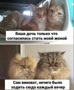 8d7e427fc105bb15e63e82cad3e94a54.jpg