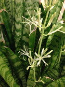 2FD1D618-F5C1-4BA5-8558-607B82BA2624