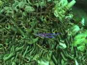 WoWScrnShot_122323_133307