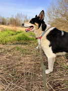 IMG_20230417_005413_402