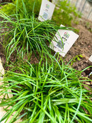 photo-20211123-iherbalgarden-023