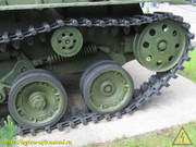 IMG-0031