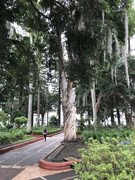 IMG-8197
