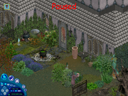 11 - witchsHerbGarden