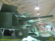 IMG-3362