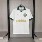 Palmeiras-II-24-25-1.jpg