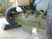 DSCN6741
